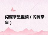 闪翼拳皇视频（闪翼拳皇）