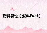 燃料腐蚀（燃料Fuel）