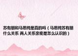 苏有朋和马思纯是真的吗（马思纯苏有朋什么关系 两人关系亲密是怎么认识的）