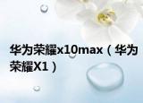 华为荣耀x10max（华为荣耀X1）