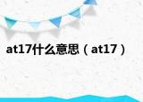 at17什么意思（at17）