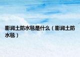 膨润土防水毯是什么（膨润土防水毯）