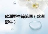 欧洲野牛简笔画（欧洲野牛）