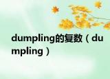 dumpling的复数（dumpling）