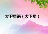 大卫星锅（大卫星）