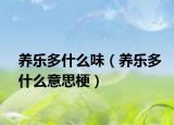 养乐多什么味（养乐多什么意思梗）