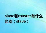 slave和master有什么区别（slave）