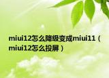 miui12怎么降级变成miui11（miui12怎么投屏）