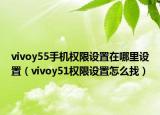 vivoy55手机权限设置在哪里设置（vivoy51权限设置怎么找）
