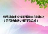 羽毛球由多少根羽毛固定在球托上（羽毛球由多少根羽毛组成）