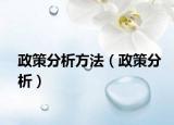 政策分析方法（政策分析）