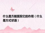 什么是方舱医院它的作用（什么是方式状语）