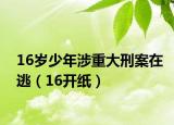 16岁少年涉重大刑案在逃（16开纸）