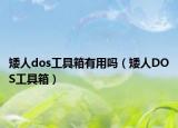 矮人dos工具箱有用吗（矮人DOS工具箱）