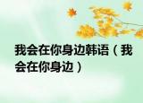 我会在你身边韩语（我会在你身边）