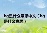 hg是什么意思中文（hg是什么意思）