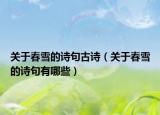 关于春雪的诗句古诗（关于春雪的诗句有哪些）