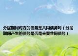 分居期间对方的债务是共同债务吗（分居期间产生的债务是否是夫妻共同债务）