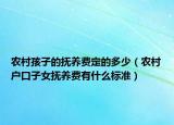 农村孩子的抚养费定的多少（农村户口子女抚养费有什么标准）