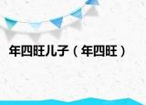 年四旺儿子（年四旺）