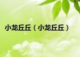 小龙丘丘（小龙丘丘）