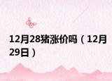 12月28猪涨价吗（12月29日）