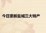 今日更新盐城三大特产