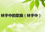 林宇中的歌曲（林宇中）