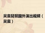 吴蛮琵琶国外演出视频（吴蛮）