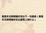 菩提本无树明镜亦非台下一句是啥（菩提本无树明镜亦非台爱情上指什么）