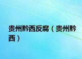 贵州黔西反腐（贵州黔西）