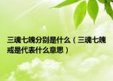 三魂七魄分别是什么（三魂七魄戒是代表什么意思）