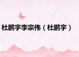 杜鹏宇李宗伟（杜鹏宇）