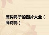 鹰钩鼻子的图片大全（鹰钩鼻）