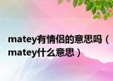 matey有情侣的意思吗（matey什么意思）