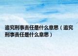 追究刑事责任是什么意思（追究刑事责任是什么意思）