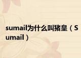 sumail为什么叫猪皇（Sumail）
