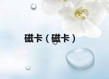磁卡（磁卡）