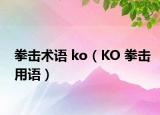 拳击术语 ko（KO 拳击用语）