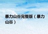 暴力山谷完整版（暴力山谷）