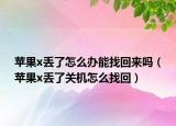 苹果x丢了怎么办能找回来吗（苹果x丢了关机怎么找回）