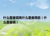 什么是音调高什么是音调低（什么是音调）