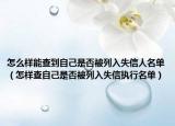 怎么样能查到自己是否被列入失信人名单（怎样查自己是否被列入失信执行名单）