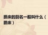 爵床的别名一般叫什么（爵床）