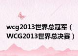 wcg2013世界总冠军（WCG2013世界总决赛）