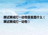 屡试屡成打一动物答案是什么（屡试屡成打一动物）
