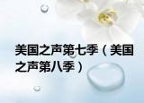 美国之声第七季（美国之声第八季）