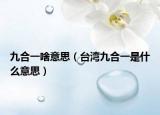 九合一啥意思（台湾九合一是什么意思）