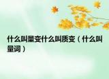 什么叫量变什么叫质变（什么叫量词）