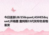 今日更新LBJ15"ASHES"开箱图 詹姆斯15代灰烬色实物鉴赏